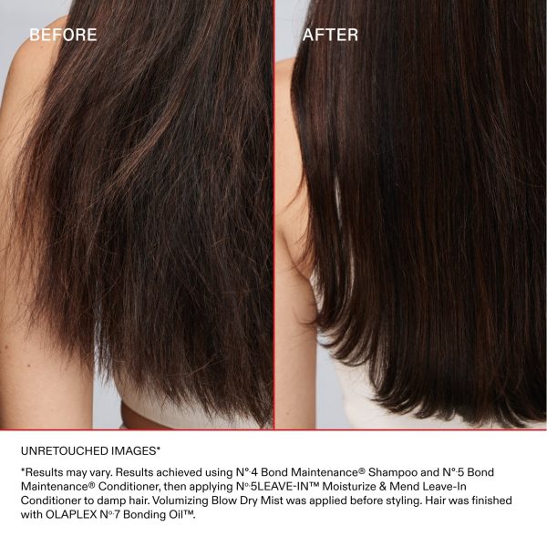 Nº.5 LEAVE-IN MOISTURIZE & MEND LEAVE-IN CONDITIONER - Image 6